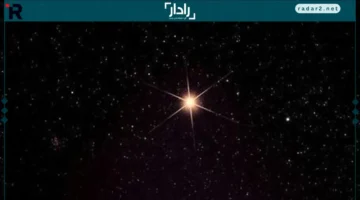 هدوء العقل.. نصائح مهنية لبرج العقرب تفتح باب النجاح وسط الأزمات وتعيد ترتيب أولوياته بشكل مثالي